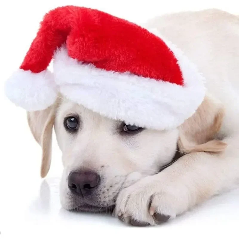 Рождественская шапка Санты для – обзор и цена Santa Hat Plush