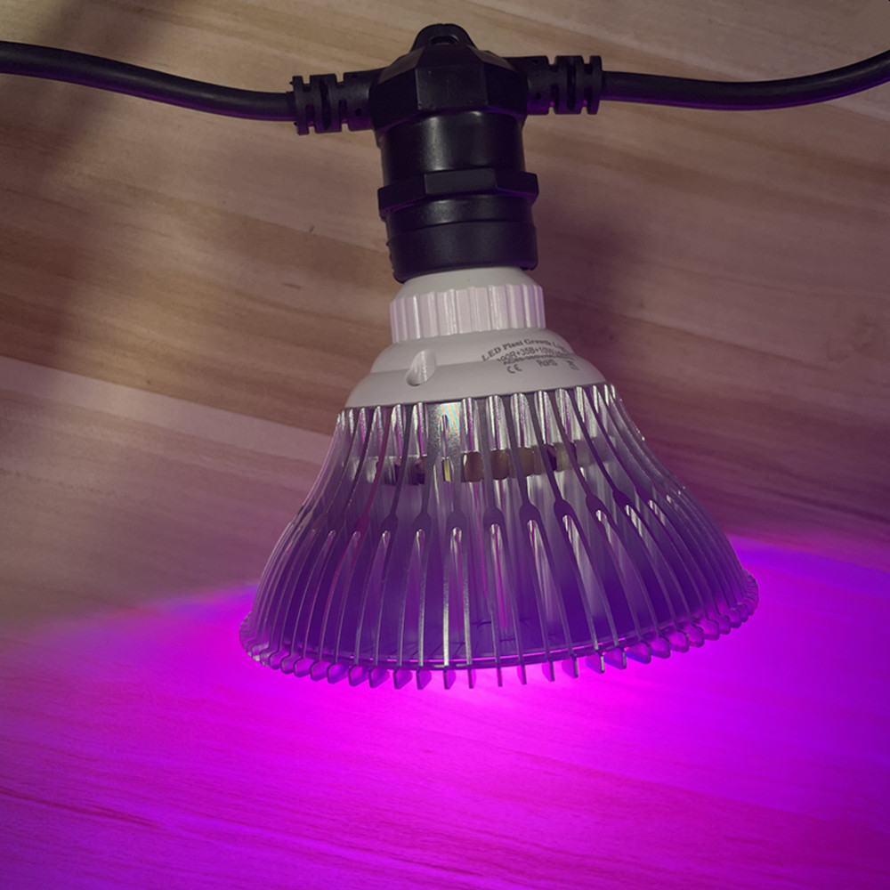 Светодиодная гирлянда 10 м, ко – обзор и цена Led Fairy String Lights